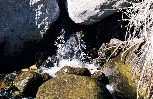 Water in the aquifer underlying the monument is nearly 7000 years old.: Castle Mountains National Monument is surrounded on three sides by the NPS Mojave National Preserve. The Castle Mountains range and Johua tree (Yucca brevifolia) woodland, in the Eastern Mojave Desert and within Castle Mountains National Monument (est. 2016), San Bernardino County, California. Photograph and text courtesy of the US National Parks Service.